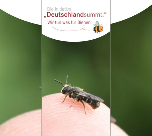 Folder Deutschland summt!, Cover