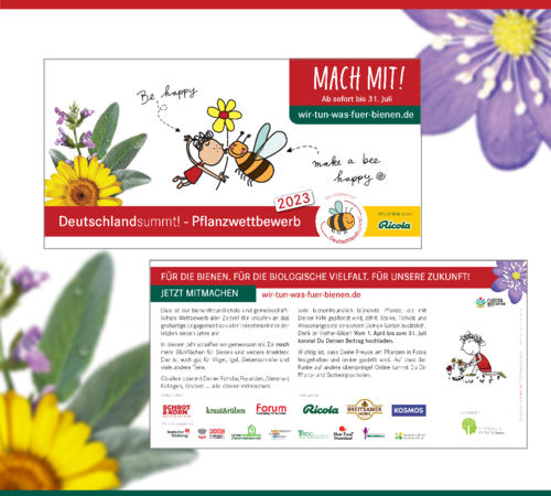 Flyer: Deutschland summt!-Pflanzwettbewerb 2023