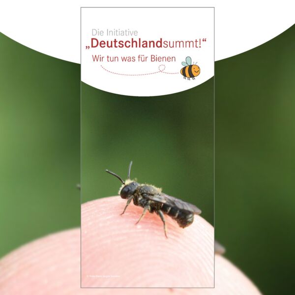 Folder Deutschland summt!, Cover