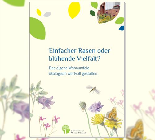 Cover: Broschüre „Einfacher Rasen oder blühende Vielfalt? Das eigene Wohnumfeld ökologisch wertvoll gestalten“