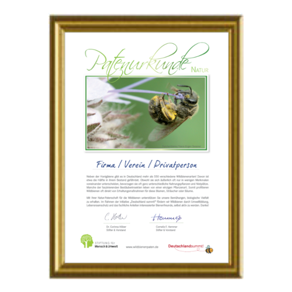 Wildbienenpatenschaft „Natur-Patenschaft“