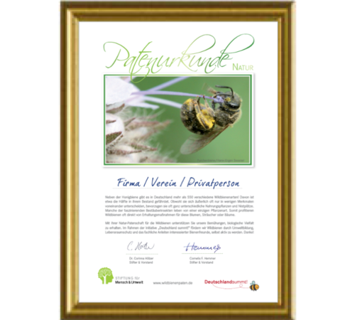 Wildbienenpatenschaft „Natur-Patenschaft“