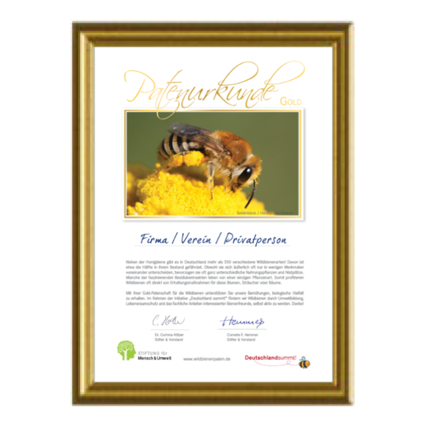 Wildbienenpatenschaft „Gold-Patenschaft“